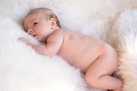 Milo 2Mos (4 of 399)