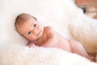 Baby Milo 2mos, Erin & Kevin 10-24-18