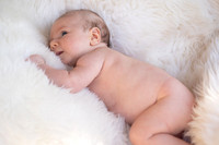 Milo 2Mos (3 of 399)