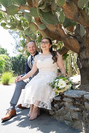Wedding (84 of 400)