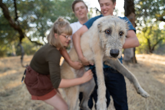 Kilpack (139 of 431)