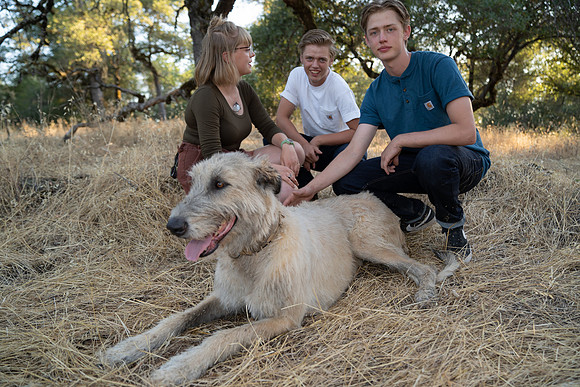 Kilpack (135 of 431)