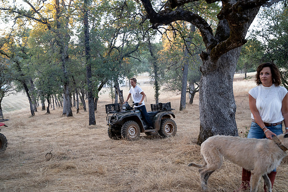 Kilpack (399 of 431)