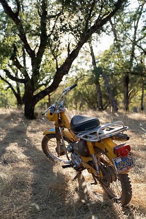 Kilpack (3 of 431)