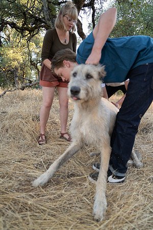 Kilpack (138 of 431)