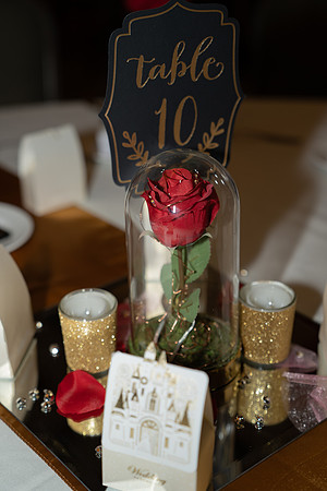 J&M (75 of 166)