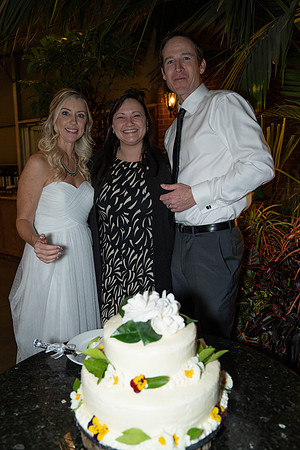 Reception (150 of 316)